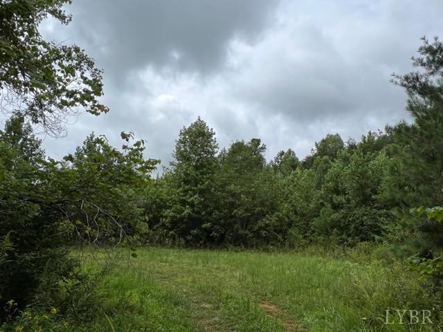 0 Piney Mountain Road Appomattox, VA 24522 - Photo 15 of 16 Gallery Image 15