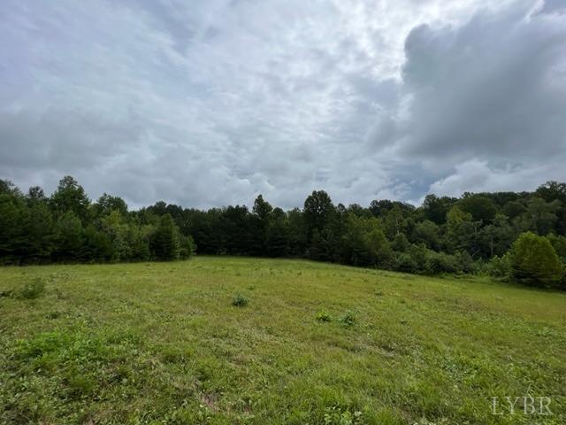 0 Piney Mountain Road Appomattox, VA 24522 - Photo 3 of 16 Gallery Image 3