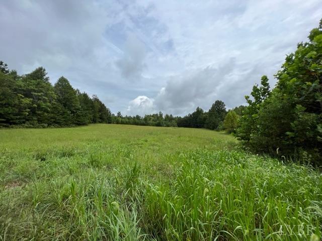 0 Piney Mountain Road Appomattox, VA 24522 - Photo 4 of 16 Gallery Image 4