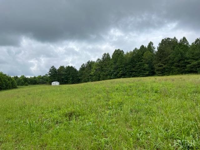 0 Piney Mountain Road Appomattox, VA 24522 - Photo 8 of 16 Gallery Image 8