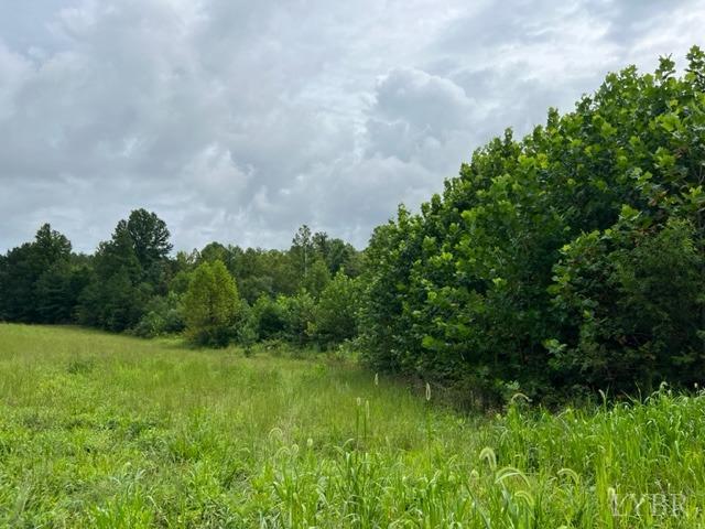 0 Piney Mountain Road Appomattox, VA 24522 - Photo 10 of 16 Gallery Image 10