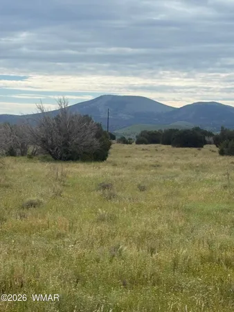 $32,900 | 147 County Road 3149, Vernon, AZ 85940