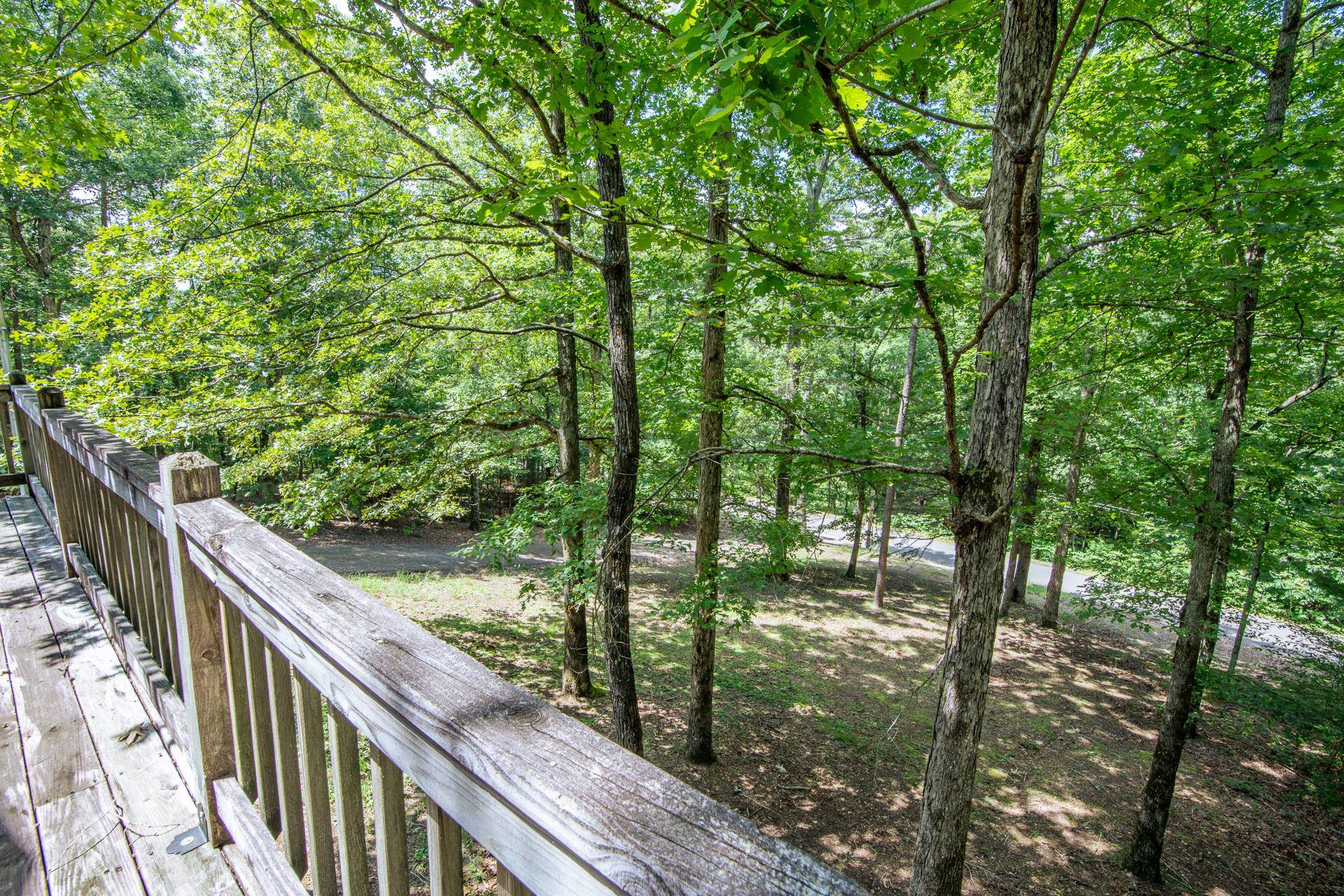 2125 Bruton Branch Road Savannah, TN 38372 - Photo 22 of 33 a balcony with trees in front of it