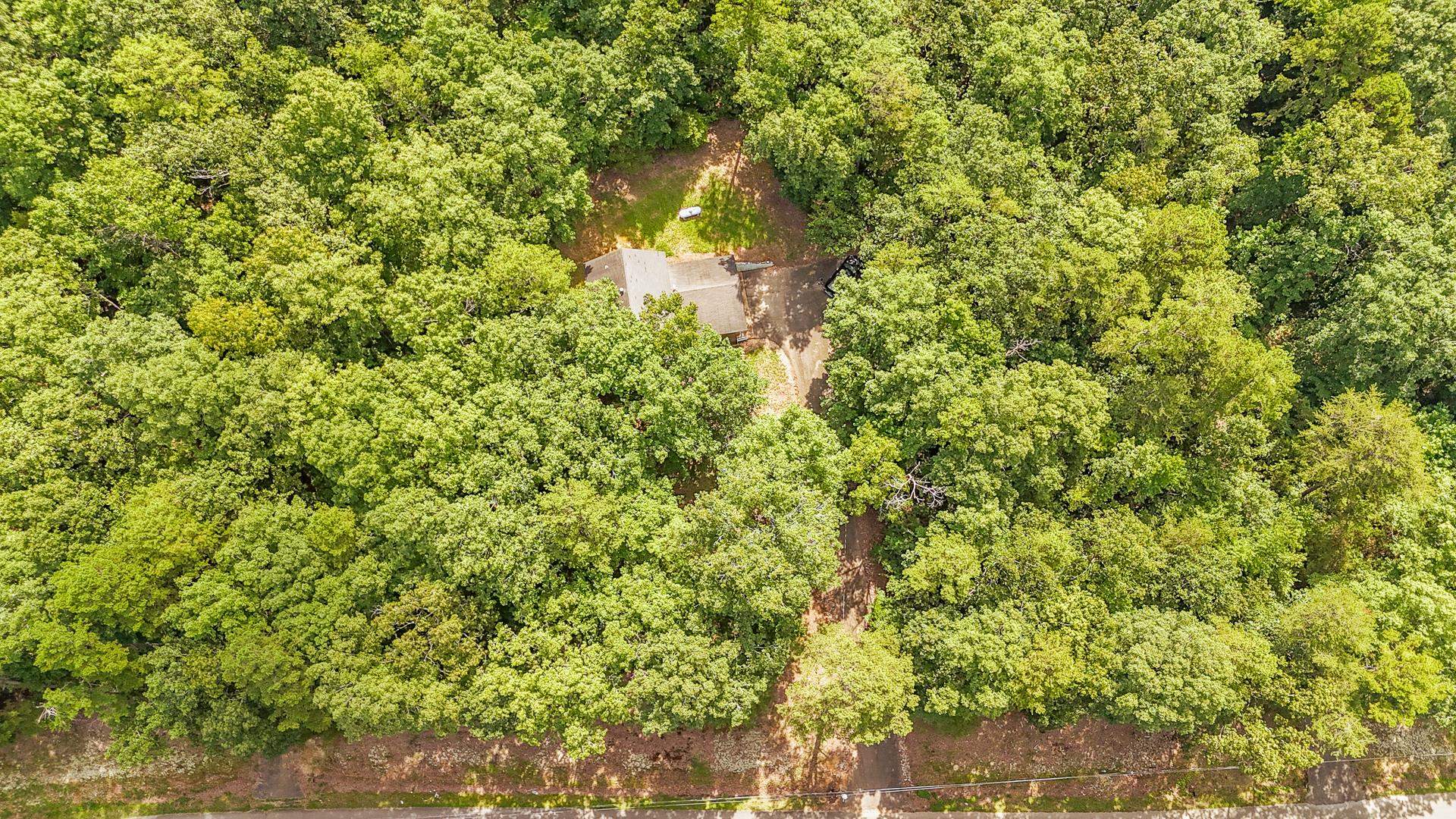 2125 Bruton Branch Road Savannah, TN 38372 - Photo 32 of 33 a close up of a tree