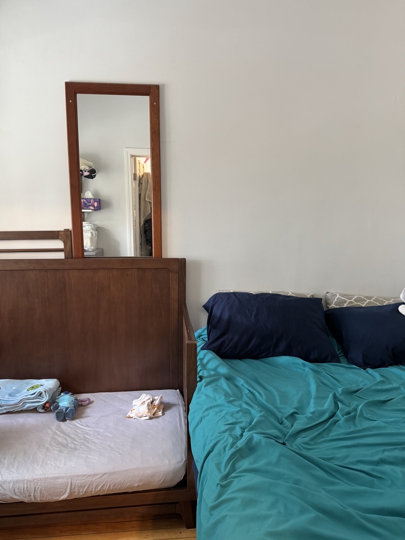 3145 South May Street, Unit 1F Chicago, IL 60608 - Photo 9 of 11