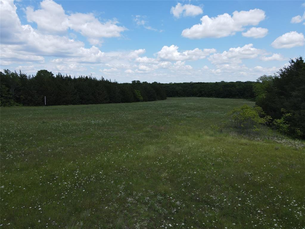 2975 County Road 2975 Windom, TX 75492 - Photo 11 of 30 a view of an ocean and beach
