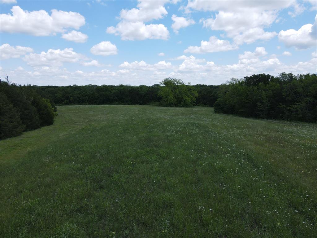 2975 County Road 2975 Windom, TX 75492 - Photo 12 of 30 a view of an outdoor space and a yard