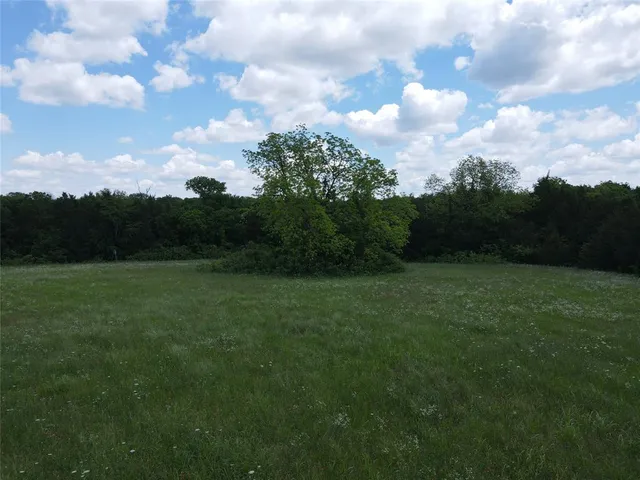 a view of a yard with an outdoor space