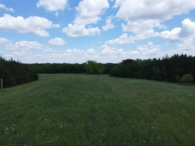 a view of a grassy field with trees
