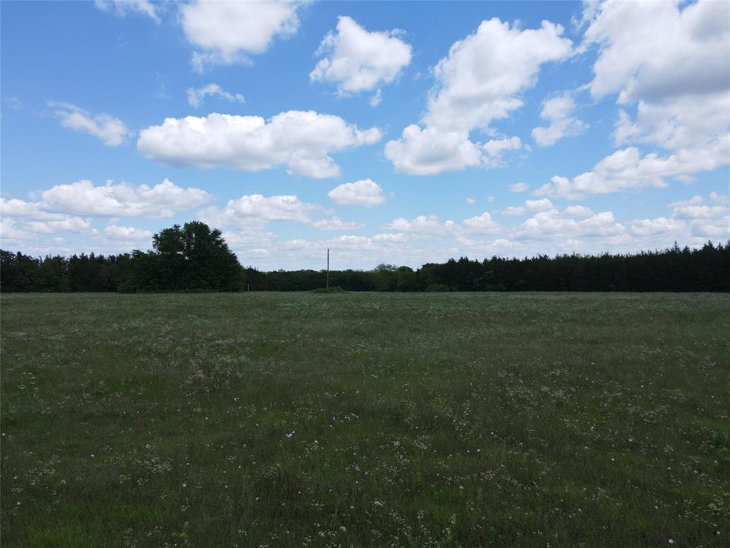 2975 County Road 2975 Windom, TX 75492 - Photo 20 of 30 a view of a city and a lake