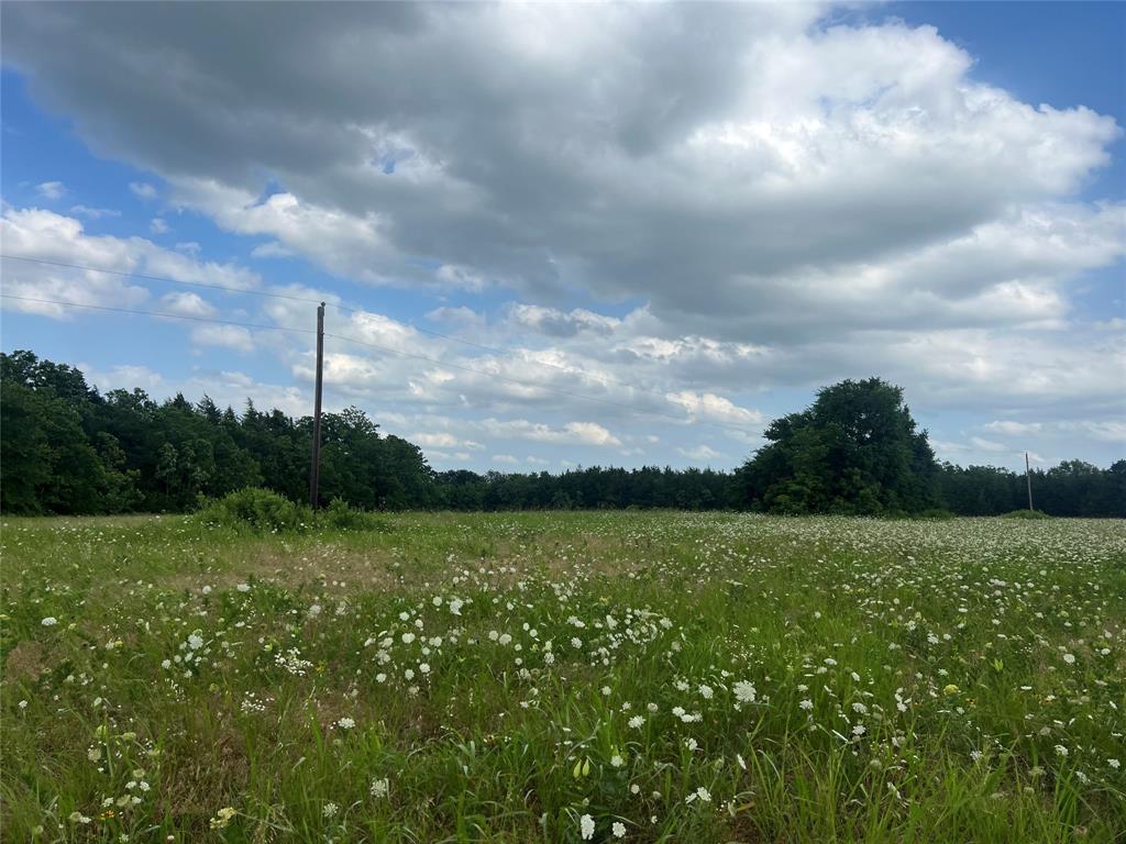 2975 County Road 2975 Windom, TX 75492 - Photo 22 of 30 a view of a golf course with a lake
