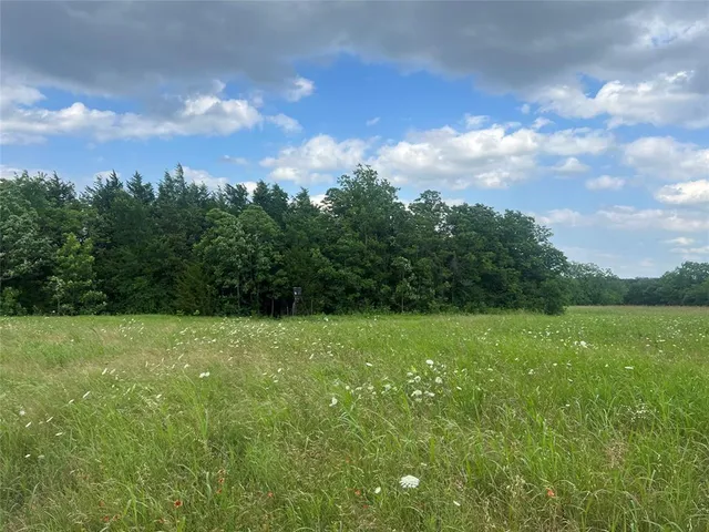 a view of an outdoor space and yard