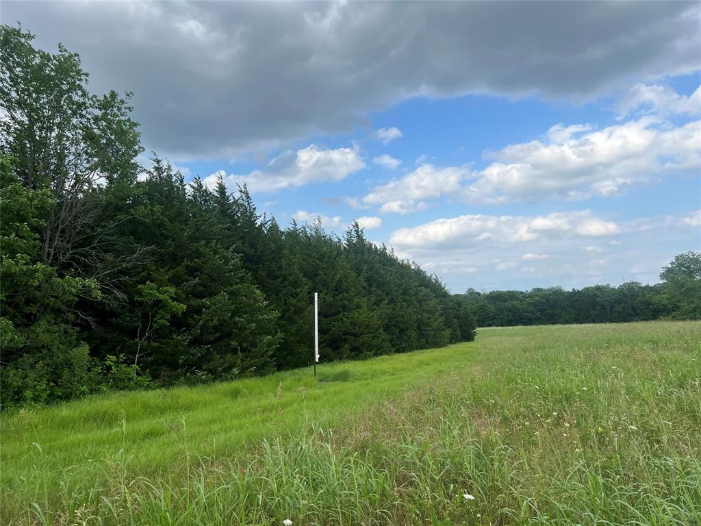 2975 County Road 2975 Windom, TX 75492 - Photo 24 of 30 a view of a lake with a yard