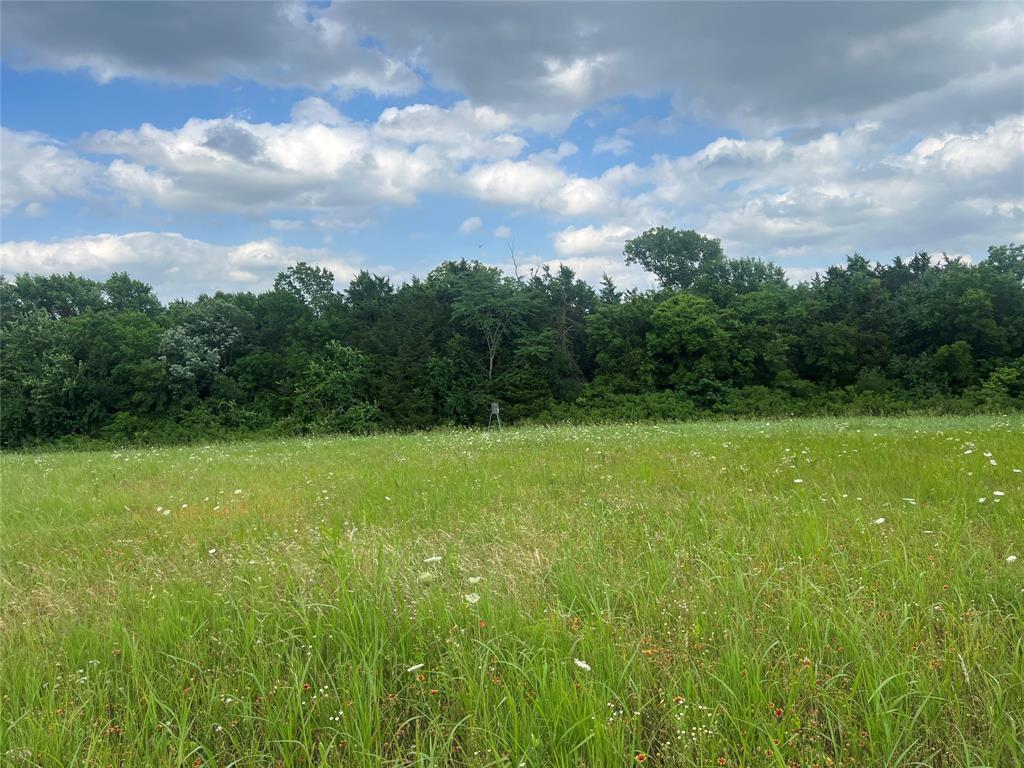 2975 County Road 2975 Windom, TX 75492 - Photo 25 of 30 a view of a green field with wooden fence