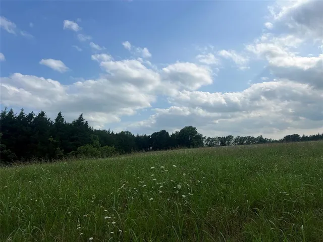 a view of a big yard with plants and a big yard