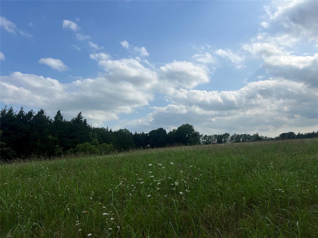 2975 County Road 2975 Windom, TX 75492 - Photo 27 of 30