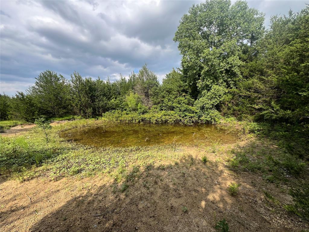 2975 County Road 2975 Windom, TX 75492 - Photo 29 of 30 a view of outdoor space and yard