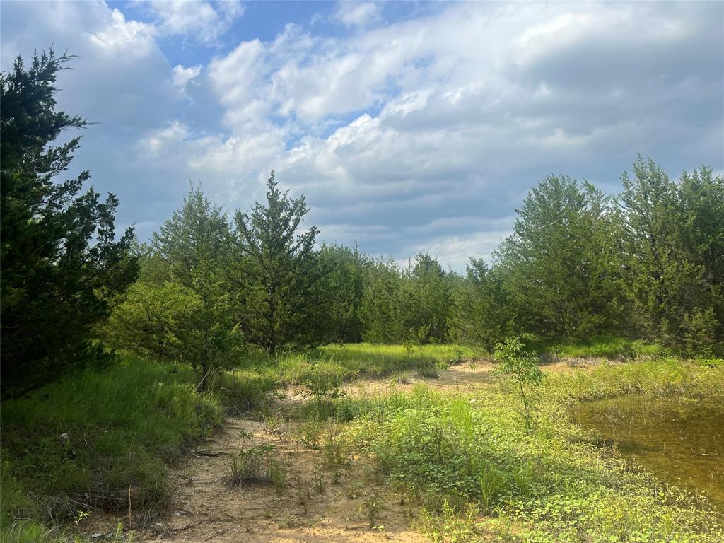 2975 County Road 2975 Windom, TX 75492 - Photo 30 of 30 a view of outdoor space and yard