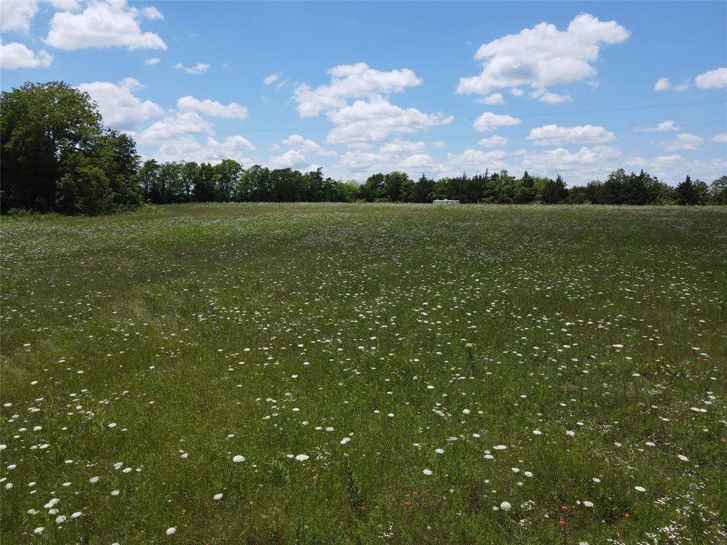 2975 County Road 2975 Windom, TX 75492 - Photo 9 of 30 a view of a big yard
