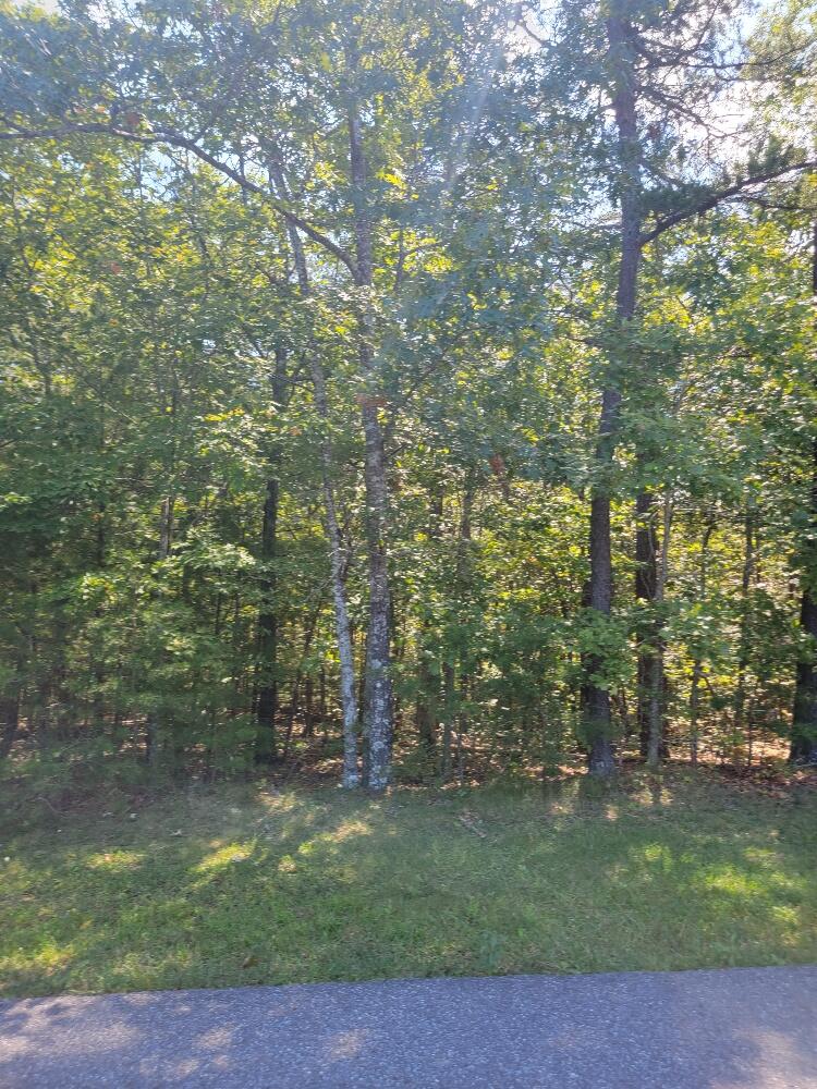 2920 New Ridge Road Elliston, VA 24087 - Photo 1 of 2 a view of outdoor space and yard