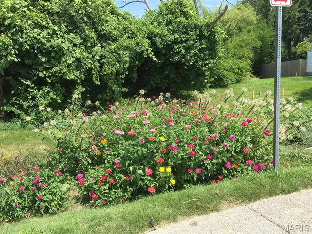 $29,000 | 503 Acorn Drive, St. Louis, MO 63126