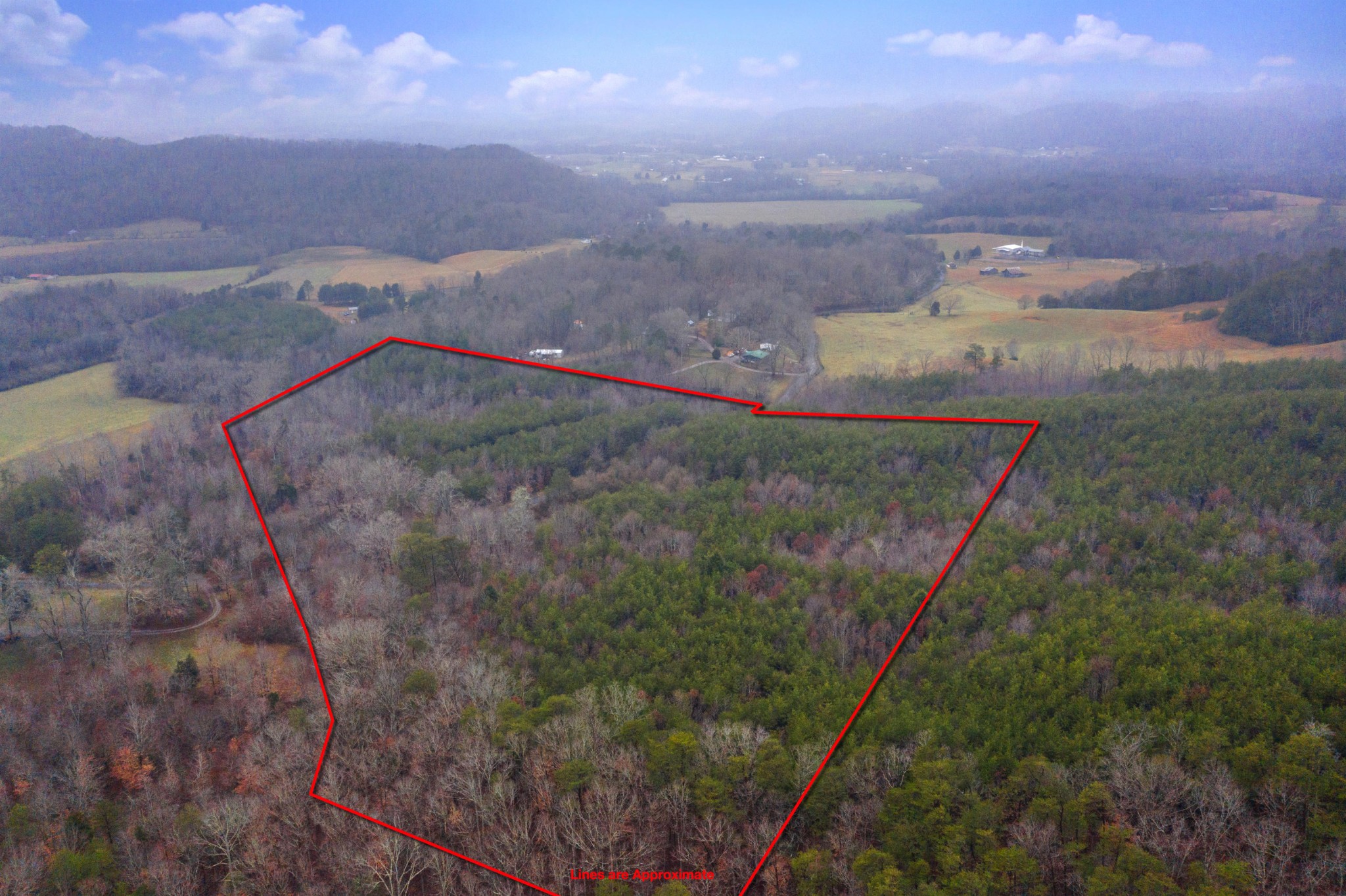 0 Baker Road Tellico Plains, TN 37385 - Photo 4 of 31 Gallery Image 4
