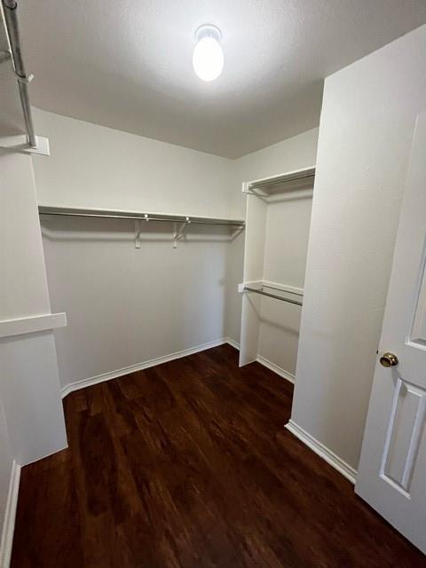 908 Rocking Spur Cove Pflugerville, TX 78660 - Photo 11 of 28 a view of an empty room with wooden floor and a window