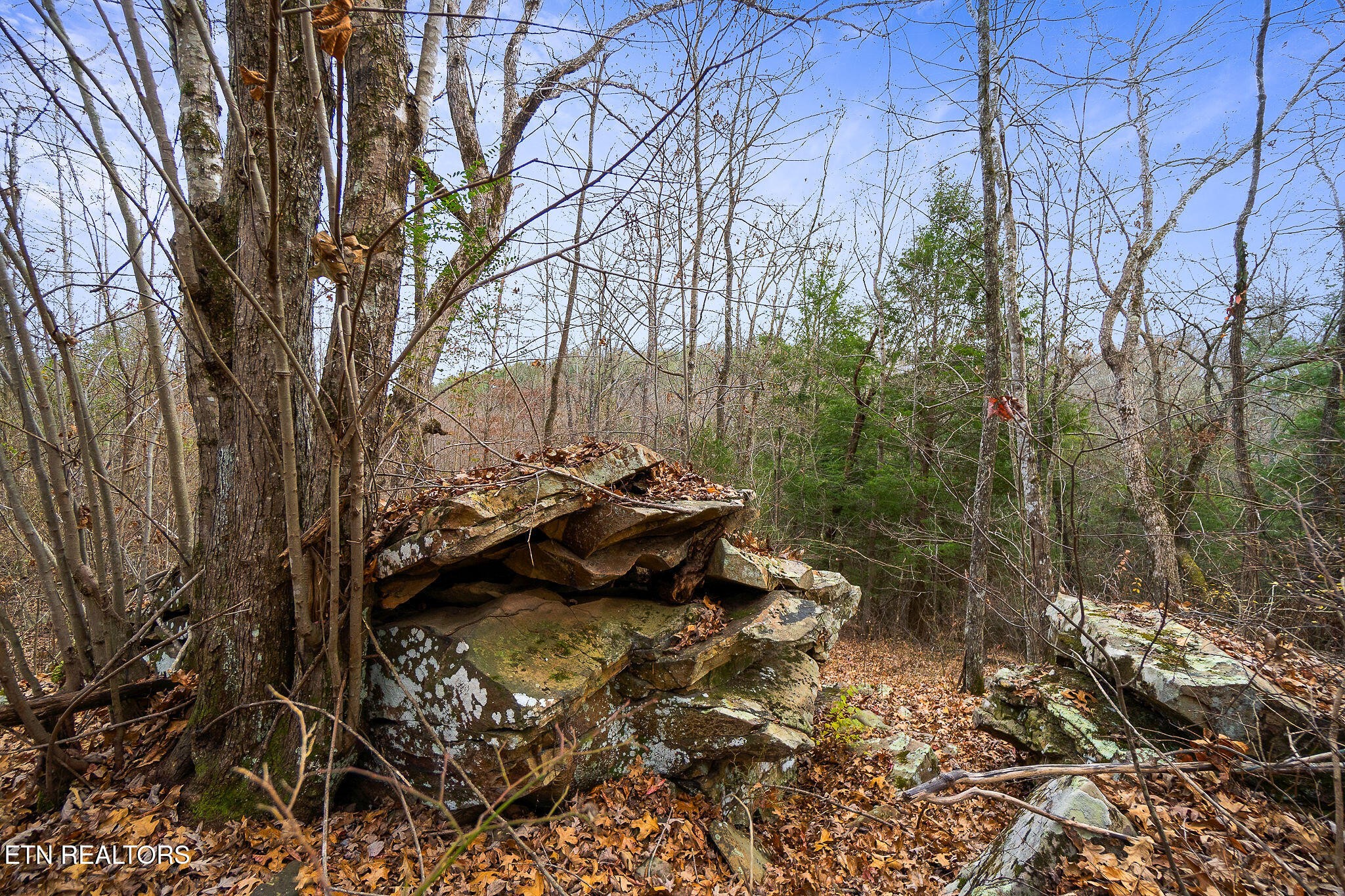 364 Open Range Road Crossville, TN 38555 - Photo 15 of 27 Gallery Image 15