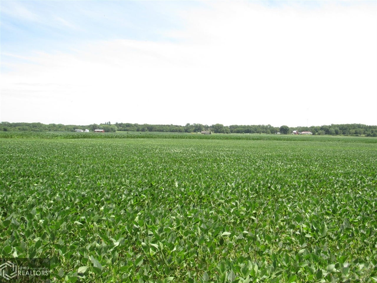12276 Floris Road Floris, IA 52560 - Photo 7 of 10 Gallery Image 7