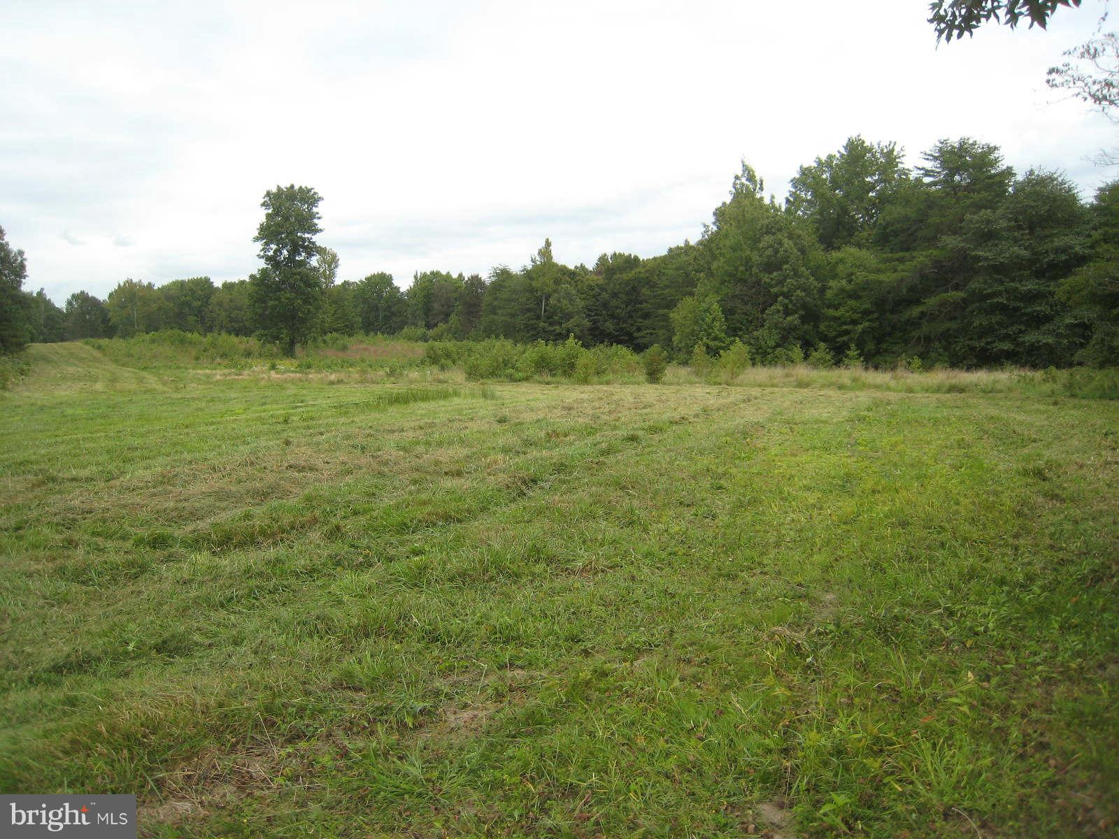 2919 Old Elk Neck Road Elkton, MD 21921 - Photo 1 of 1 View