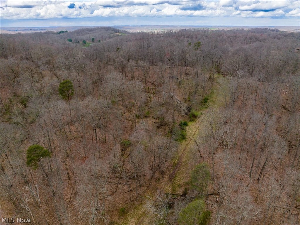 0 Smitherman Road Washington, WV 26181 - Photo 15 of 34 Overhead of some of the woods