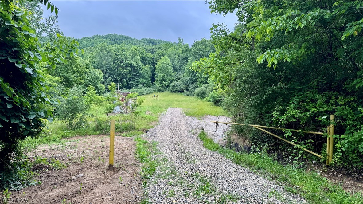 Marlott Run Road Kimbolton, OH 43749 - Photo 21 of 49