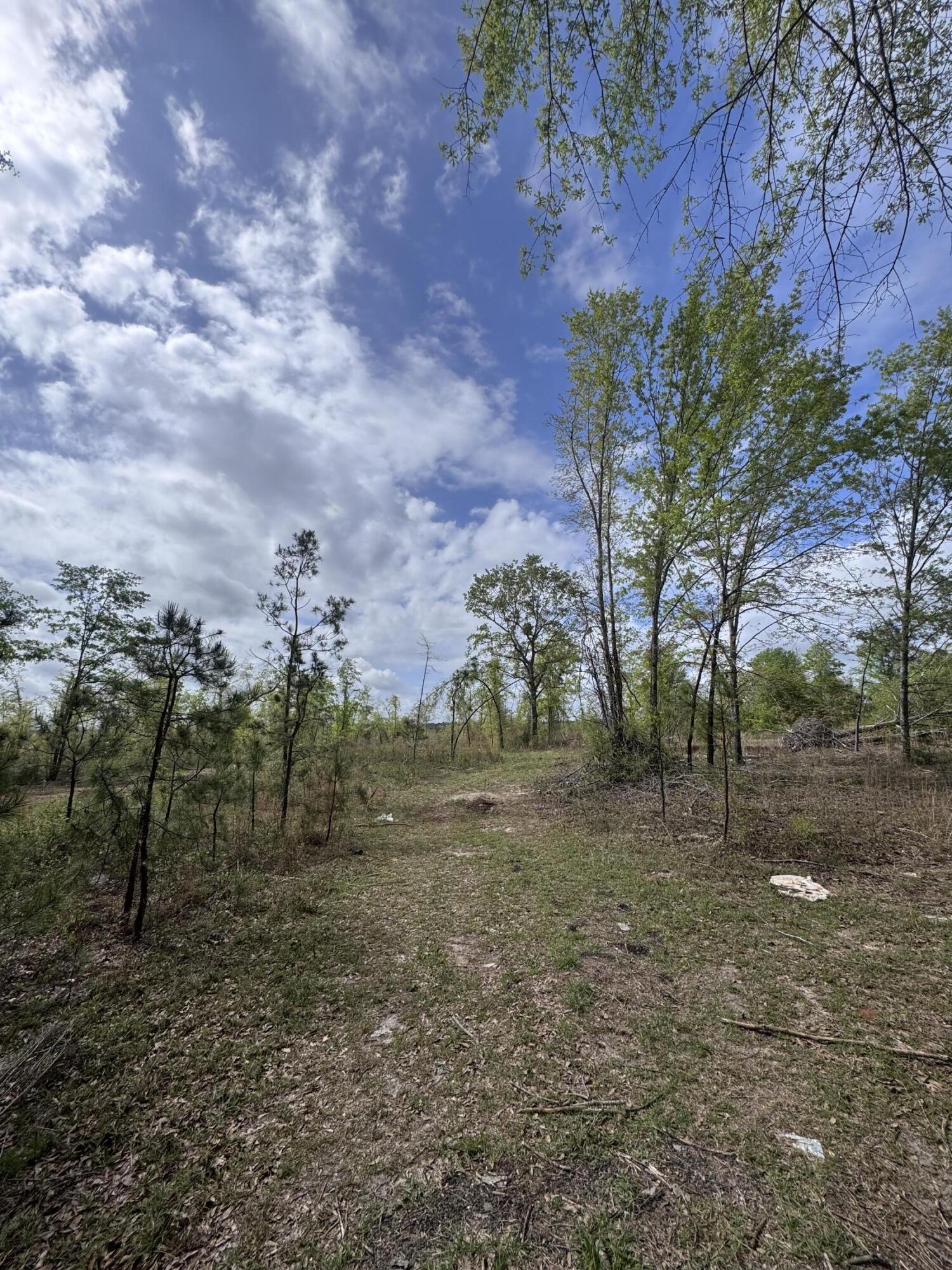 1508 Hephzibah - McBean Road Hephzibah, GA 30815 - Photo 2 of 5 IMG_0796