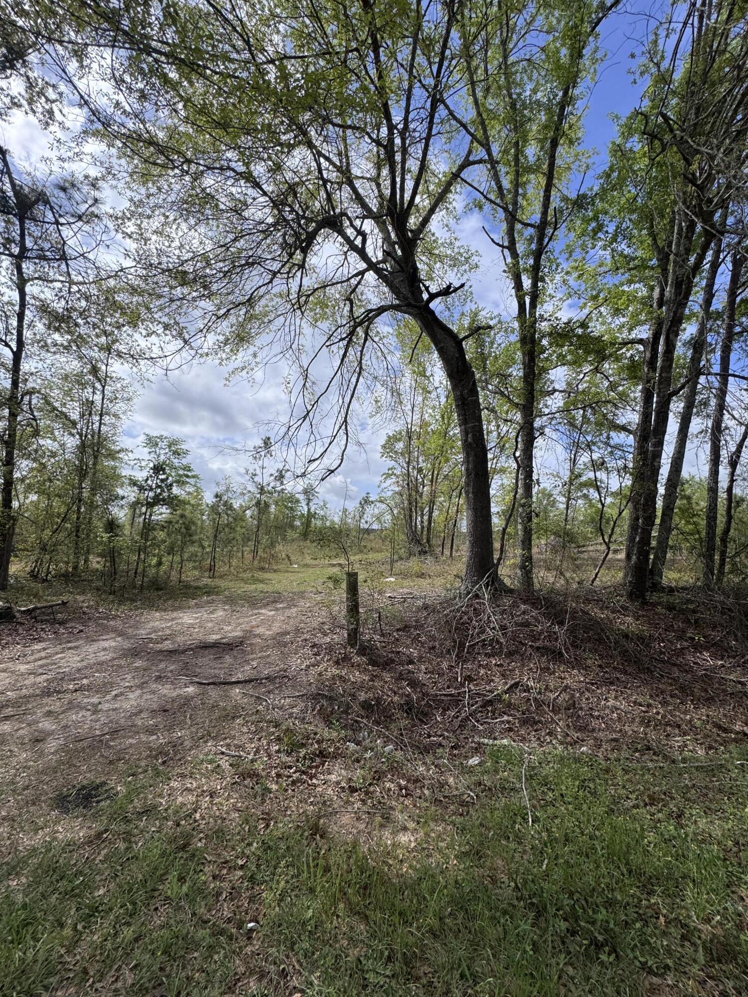 1508 Hephzibah - McBean Road Hephzibah, GA 30815 - Photo 3 of 5 IMG_0798