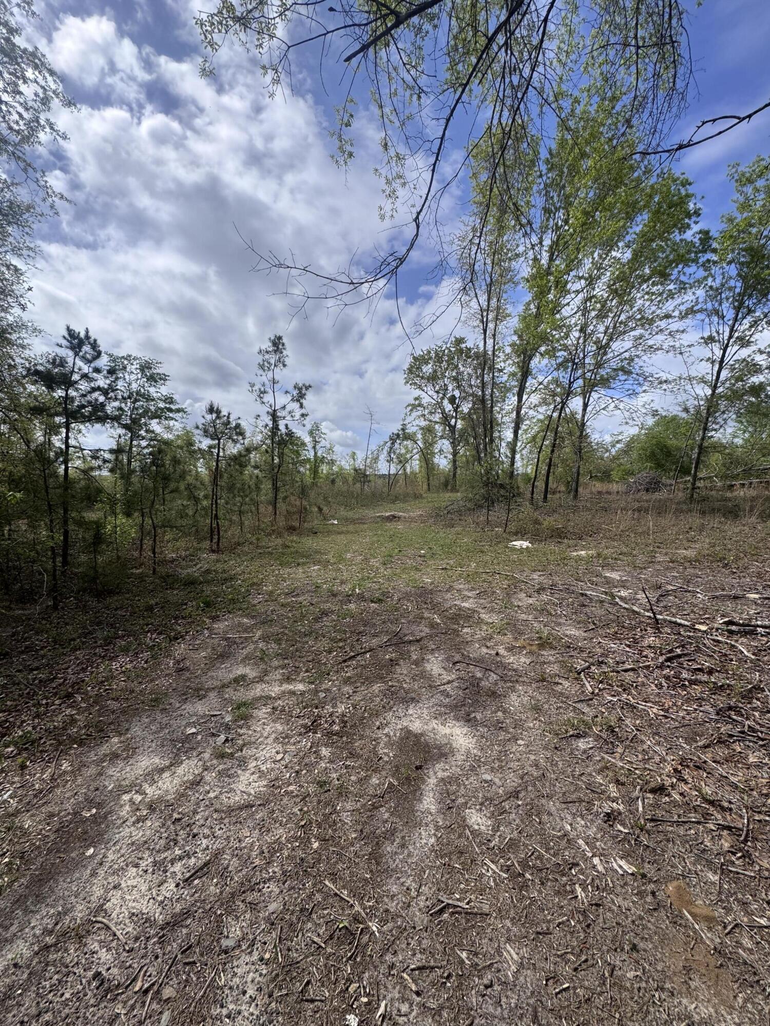 1508 Hephzibah - McBean Road Hephzibah, GA 30815 - Photo 5 of 5 IMG_0794