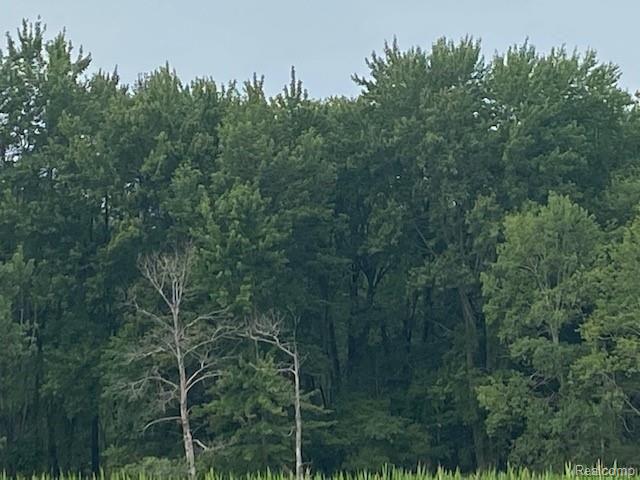 0 Bull Run Road Gregory, MI 48137 - Photo 4 of 9