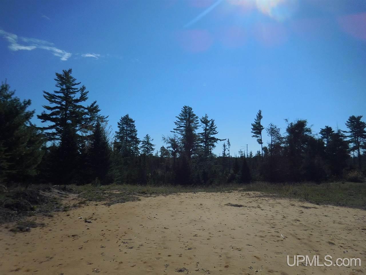 1480 Acres On Co Road Manistique, MI 49854 - Photo 20 of 49