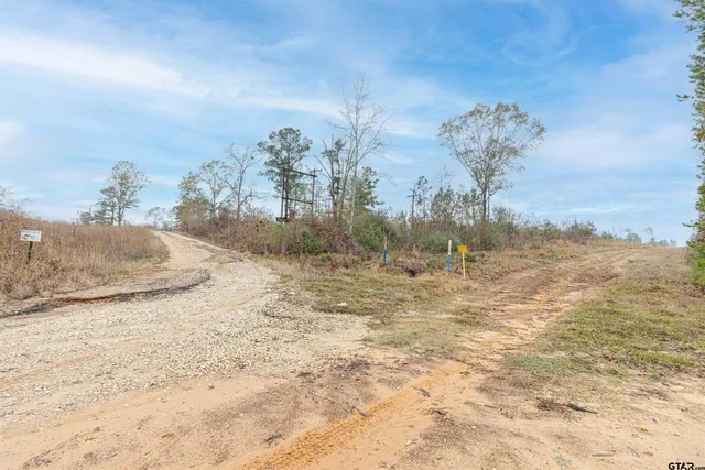 a view of a backyard of the house