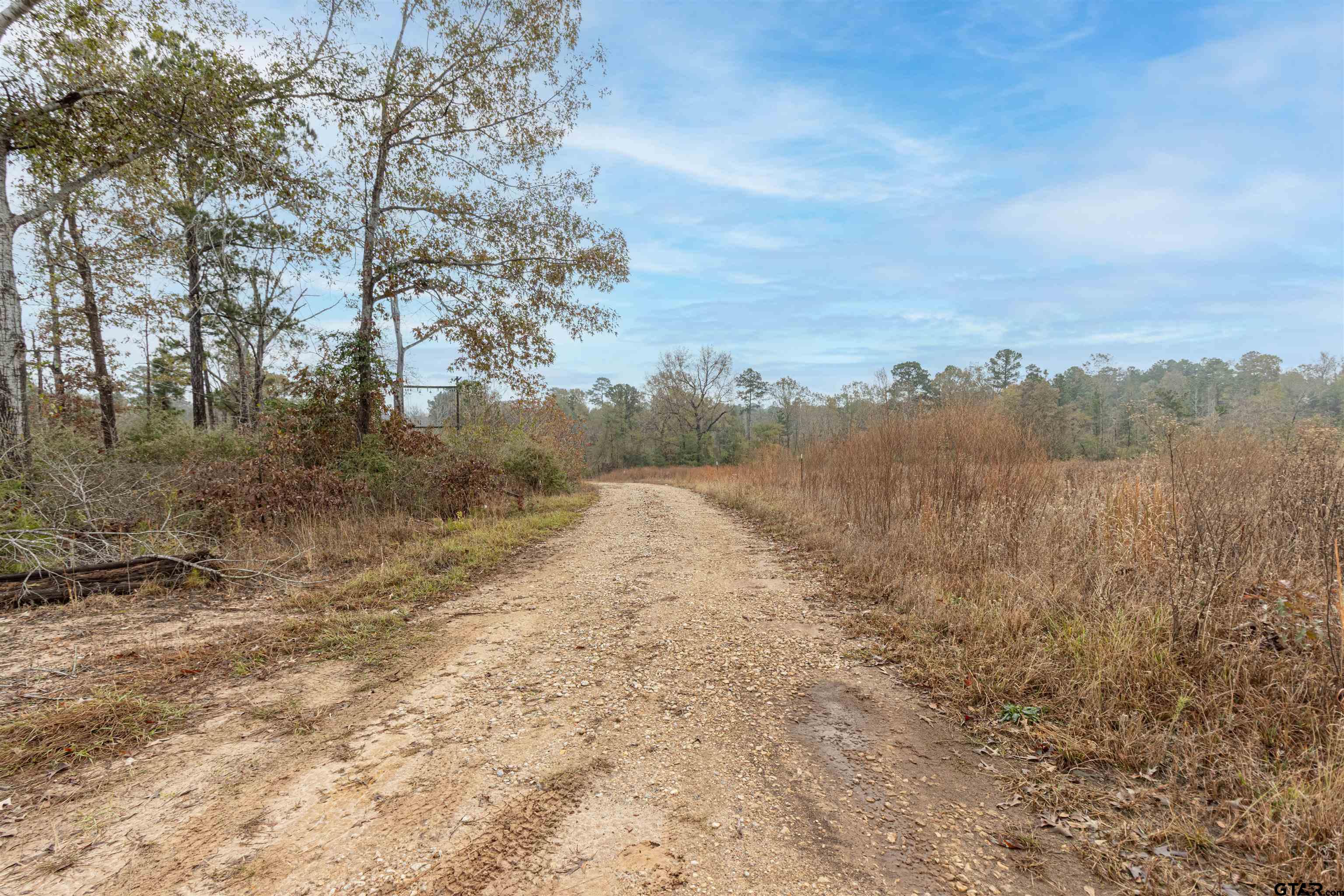Tbd Maple Avenue Overton, TX 75684 - Photo 6 of 10