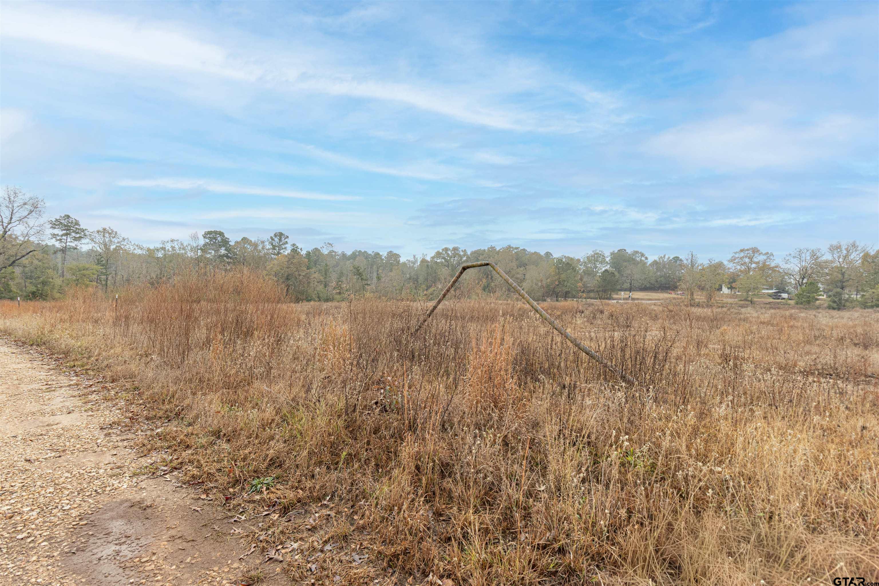 Tbd Maple Avenue Overton, TX 75684 - Photo 7 of 10