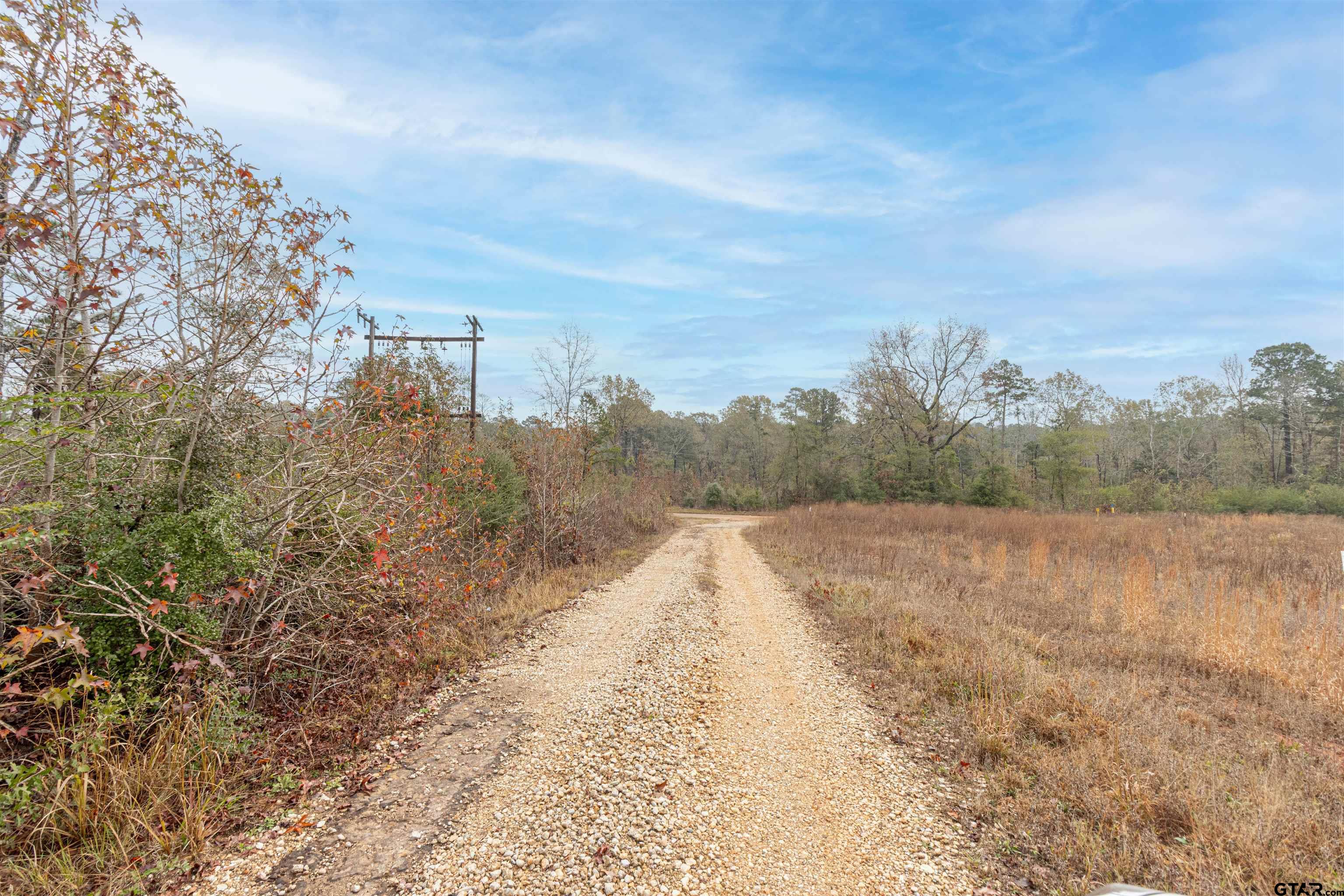 Tbd Maple Avenue Overton, TX 75684 - Photo 9 of 10