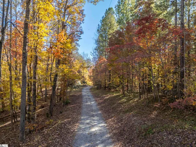 $1,195,000 | 10105 East Nc Highway, Mill Spring, NC 28756