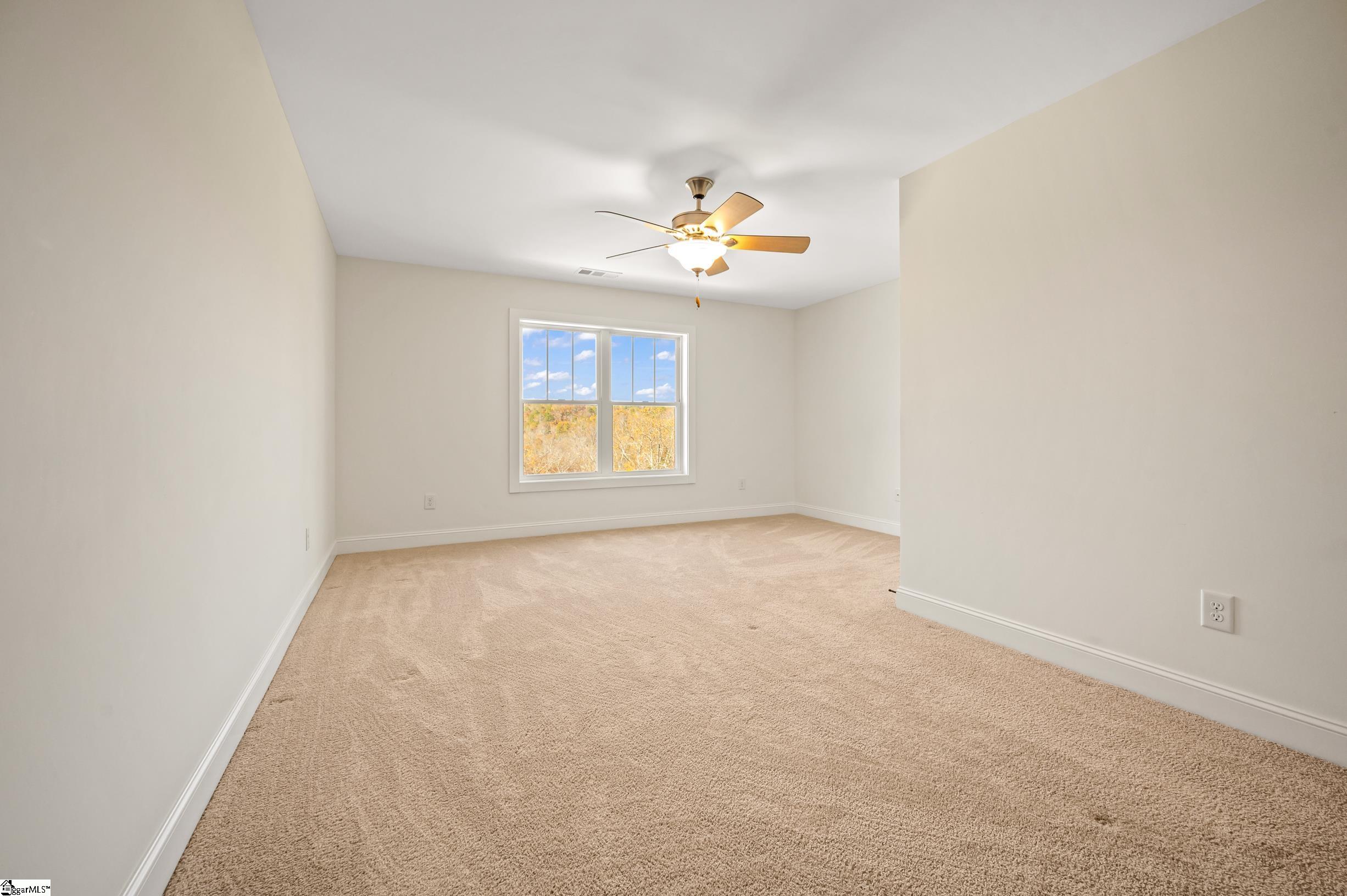 10105 East Nc Highway Mill Spring, NC 28756 - Photo 23 of 47