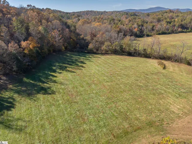 $1,195,000 | 10105 East Nc Highway, Mill Spring, NC 28756