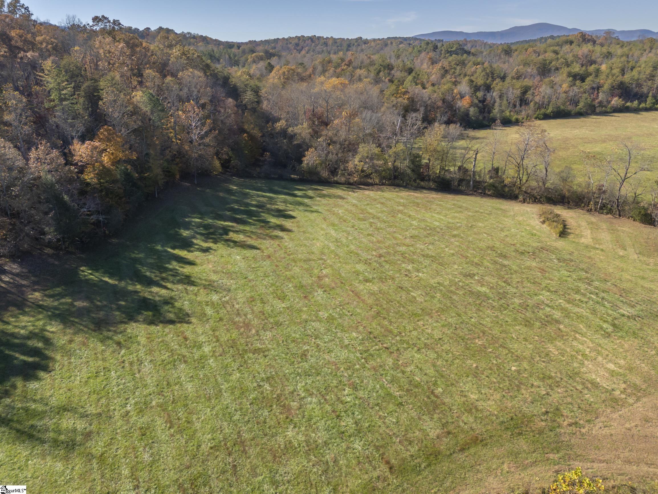 10105 East Nc Highway Mill Spring, NC 28756 - Photo 35 of 47