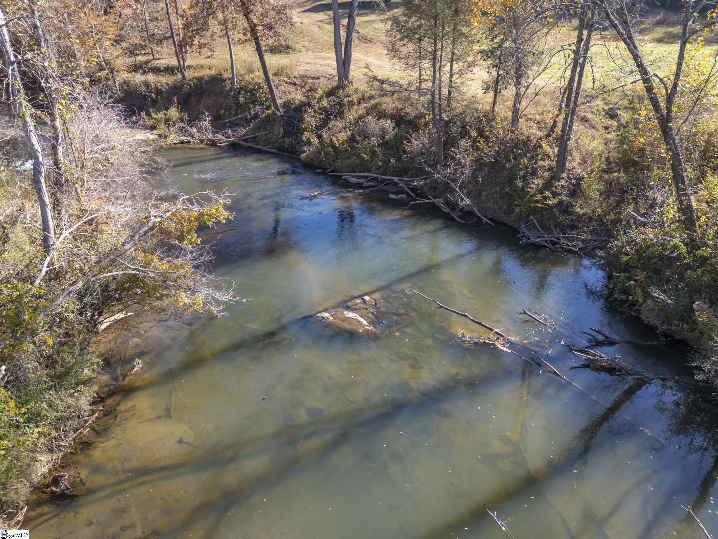10105 East Nc Highway Mill Spring, NC 28756 - Photo 39 of 47