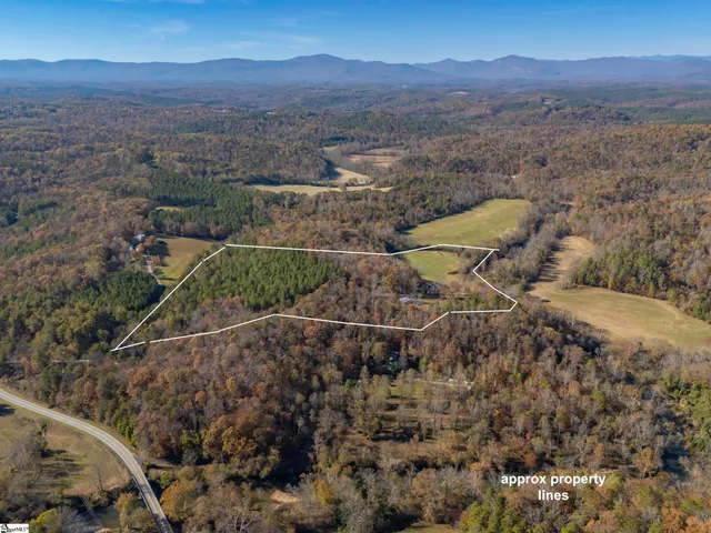 $1,195,000 | 10105 East Nc Highway, Mill Spring, NC 28756