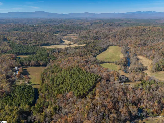 $1,195,000 | 10105 East Nc Highway, Mill Spring, NC 28756