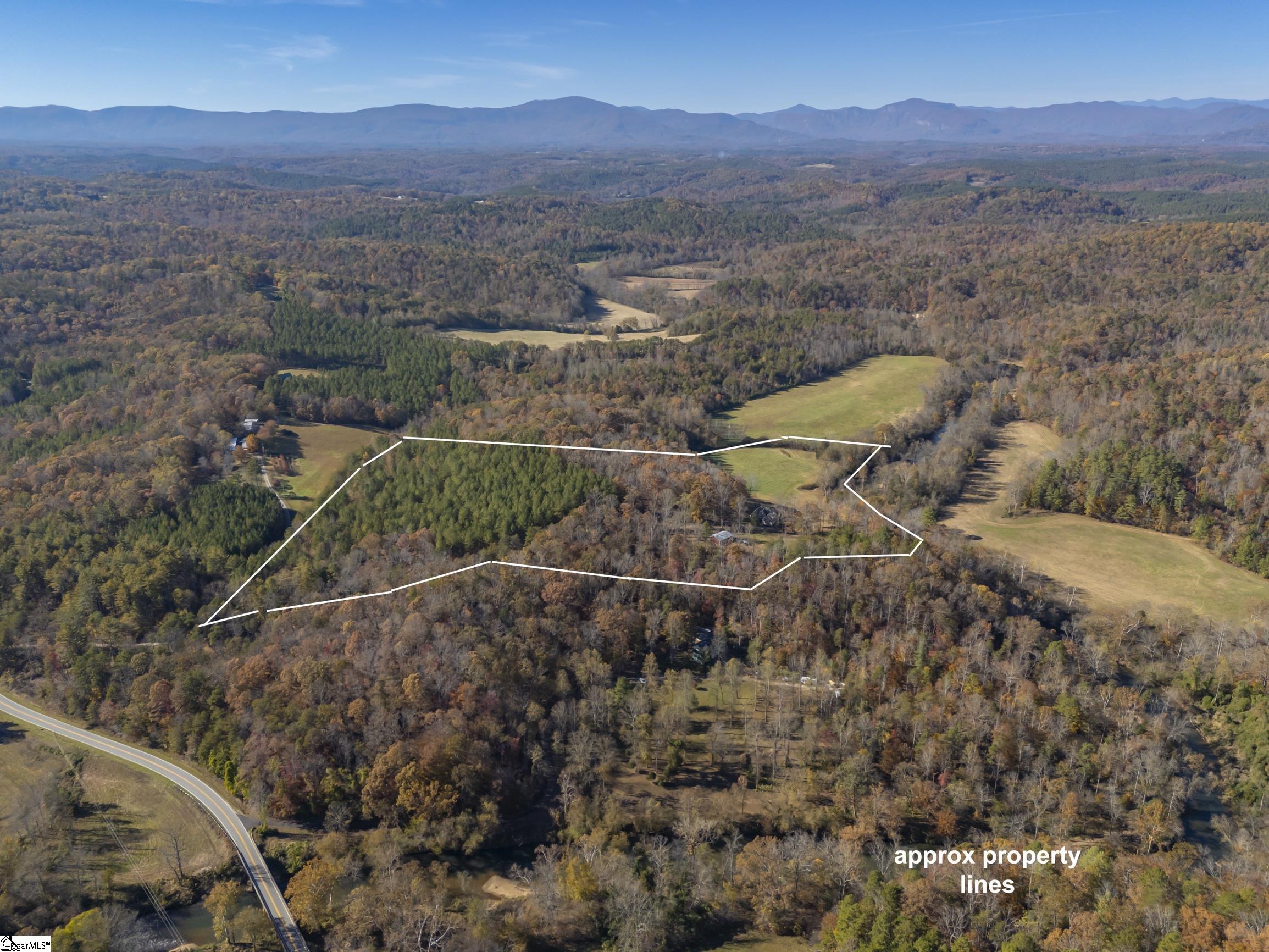 10105 East Nc Highway Mill Spring, NC 28756 - Photo 43 of 47