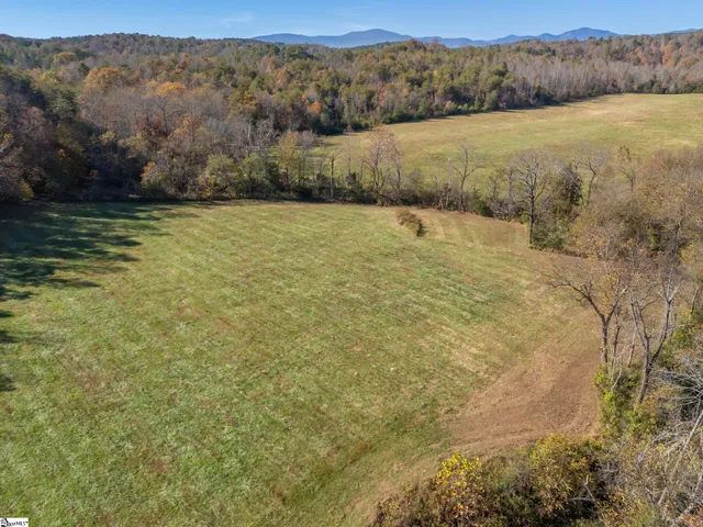 $1,195,000 | 10105 East Nc Highway, Mill Spring, NC 28756